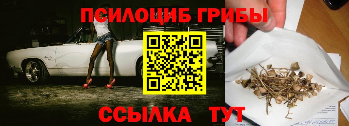 Галлюциногенные грибы Psilocybine cubensis Советский